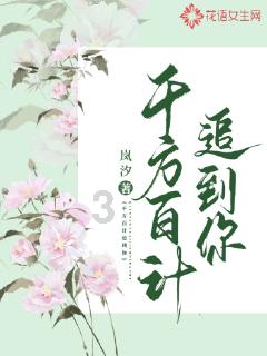 精灵嘉年华