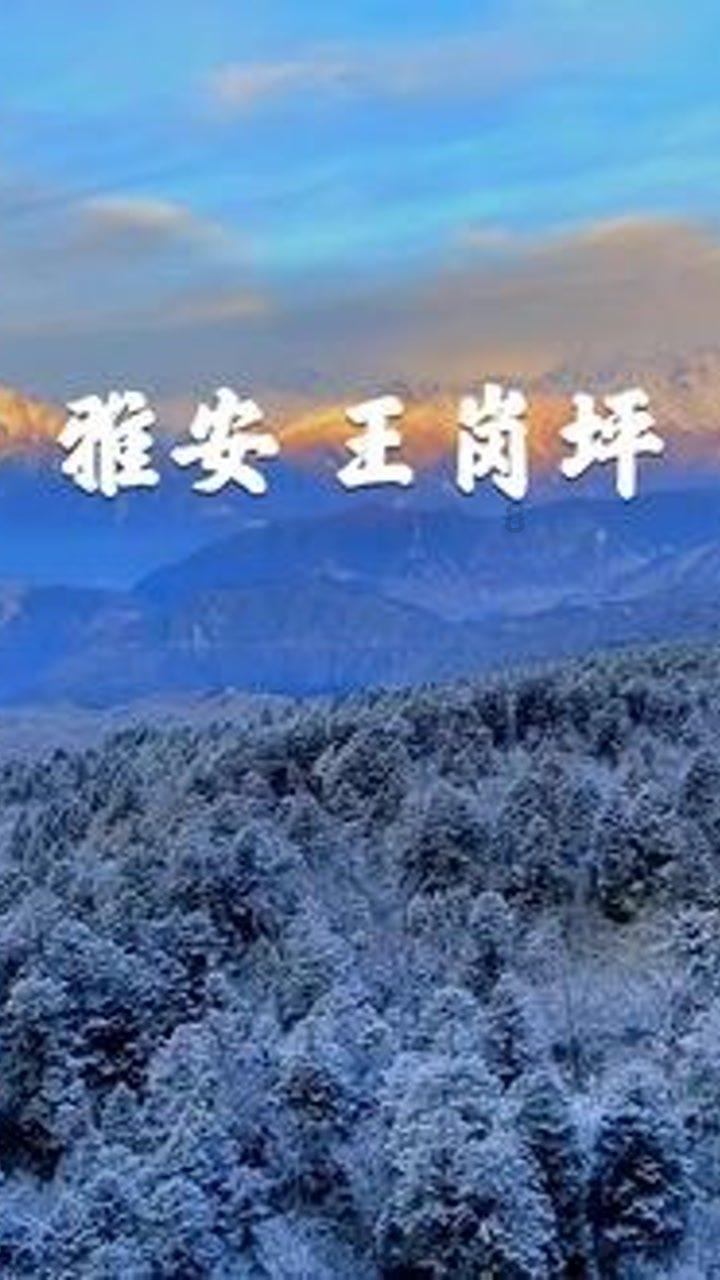 皇冠地下城选关版
