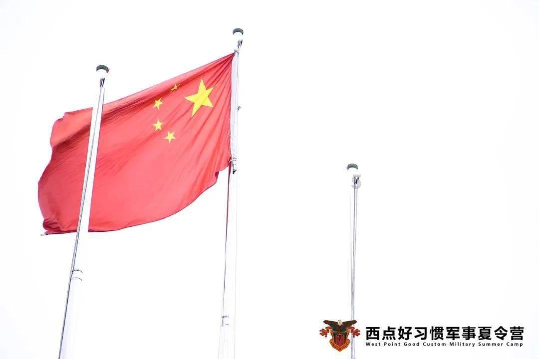 逗小猴开心系列197