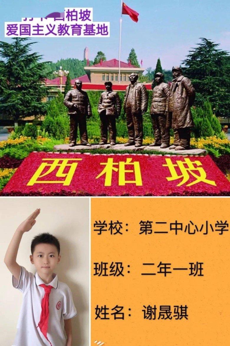 解救可爱的鸭子