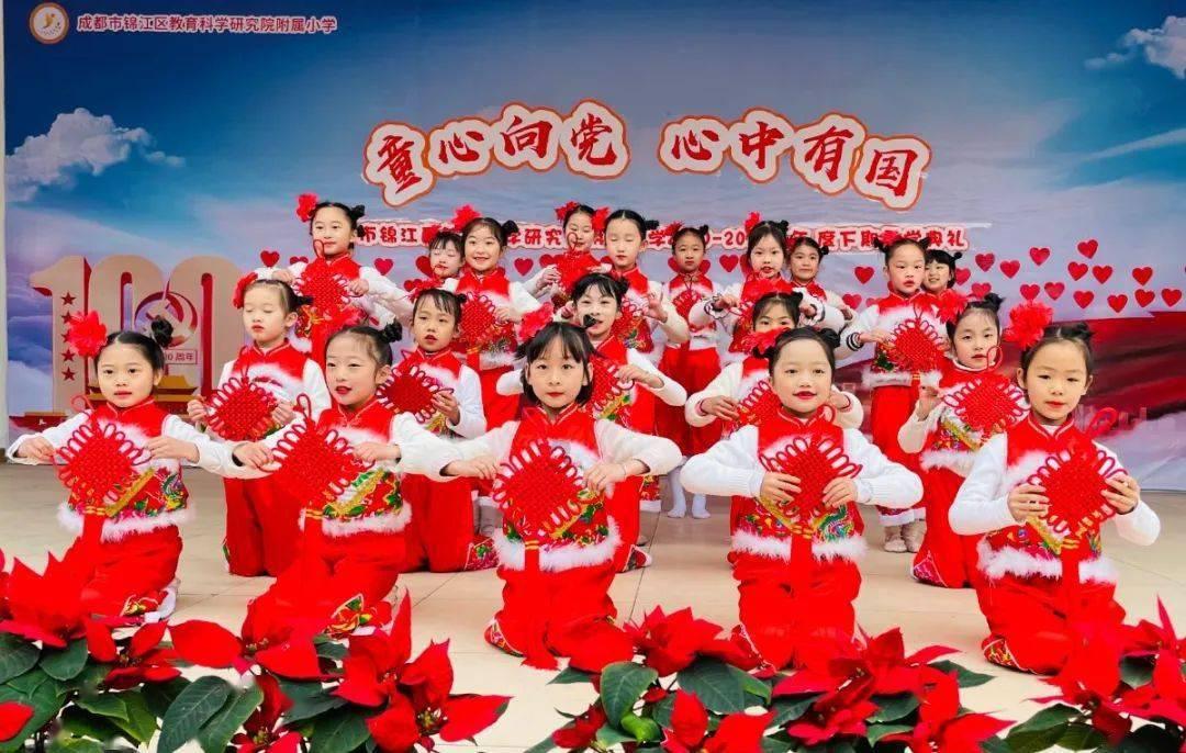 泡沫森林