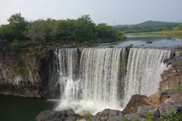 春雨直播app