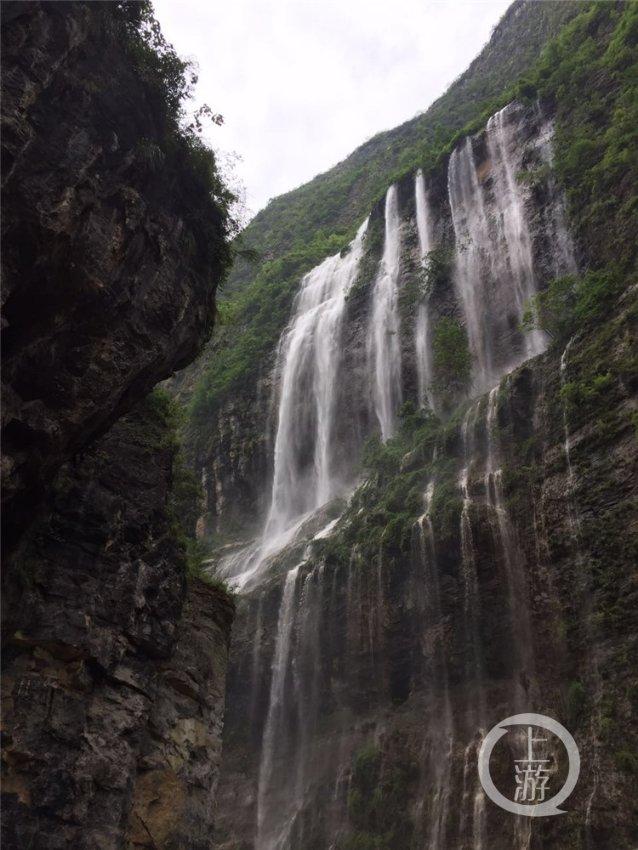 春雨直播app